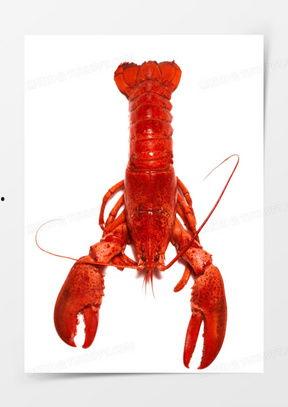 锦绣龙虾图片,鲜美滋味，视觉盛宴